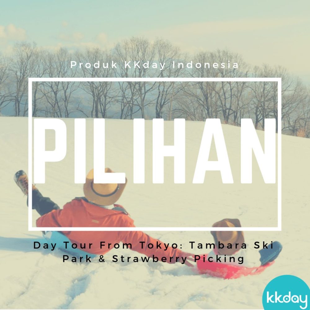 Lebih Murah, Ikut Paket Wisata ke Tambara Ski Park &#038; Strawberry Picking di Jepang!