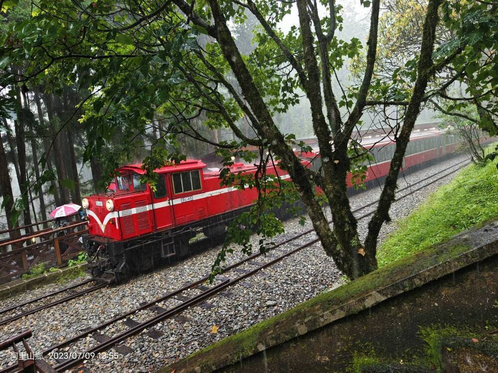 【2026】嘉義観光完全ガイド！阿里山から市内グルメまで人気スポットを徹底解説