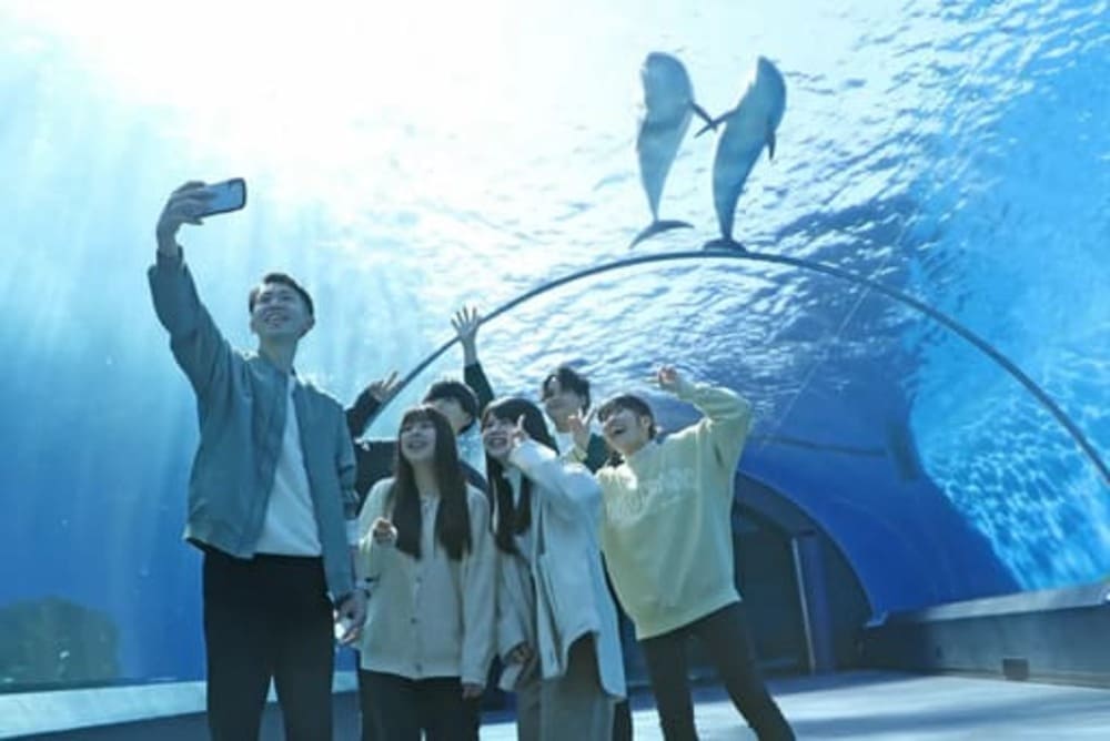 八景島シーパラダイス チケット 割引