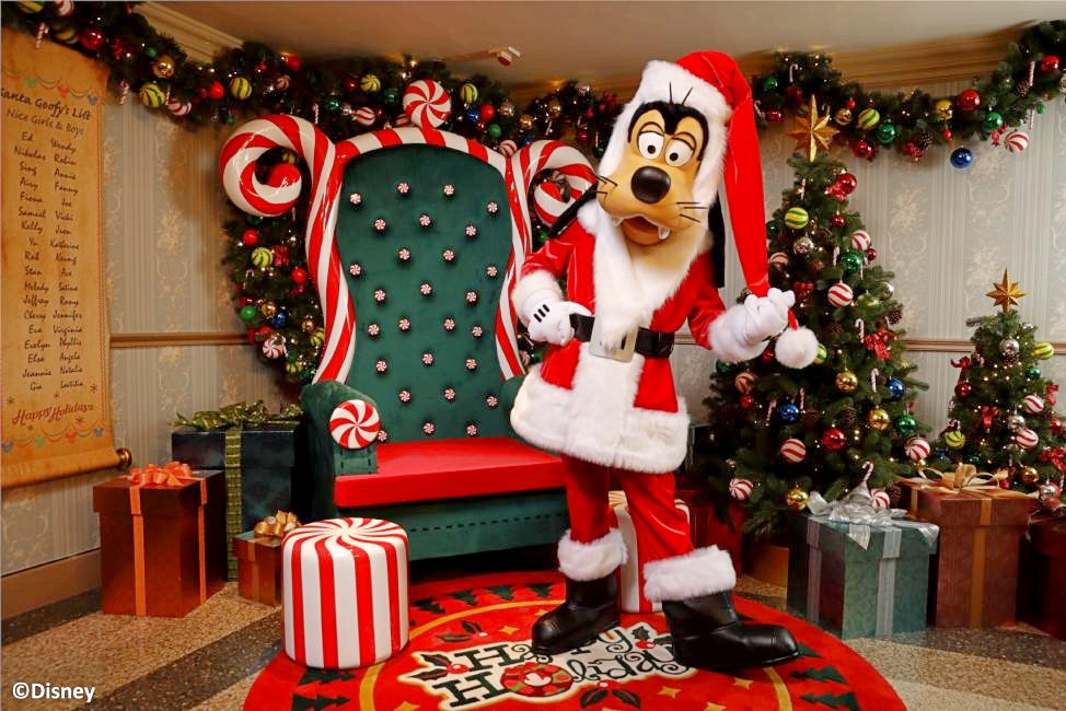 2018 world christmas disneyland2