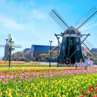 ハウステンボス　チューリップ畑 2025春｜ハウステンボス「100万本のチューリップ祭」が開催