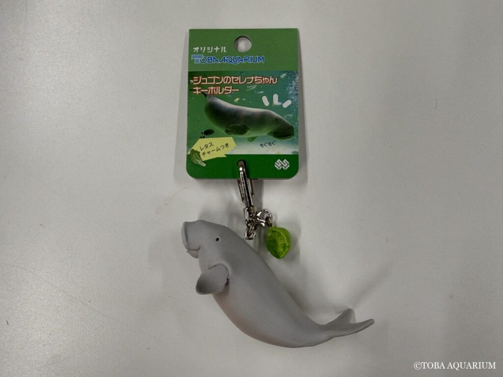鳥羽水族館のジュゴン・セレナちゃんを徹底解説｜マナティとの違いやお