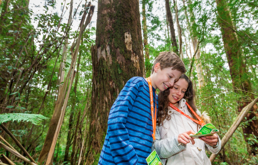 メルボルン 観光