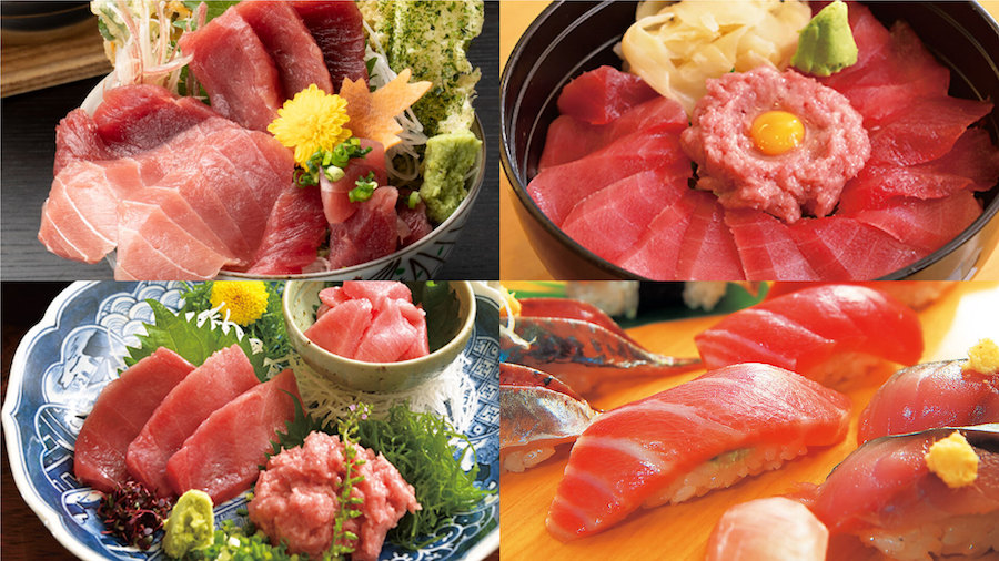 【新品ペアチケット】みさきまぐろきっぷ　品川〜三崎口　3枚　9月30日期限 𖠚コワーキングCafe134です。 ⁡ 当店、みさきまぐろきっぷ加盟店