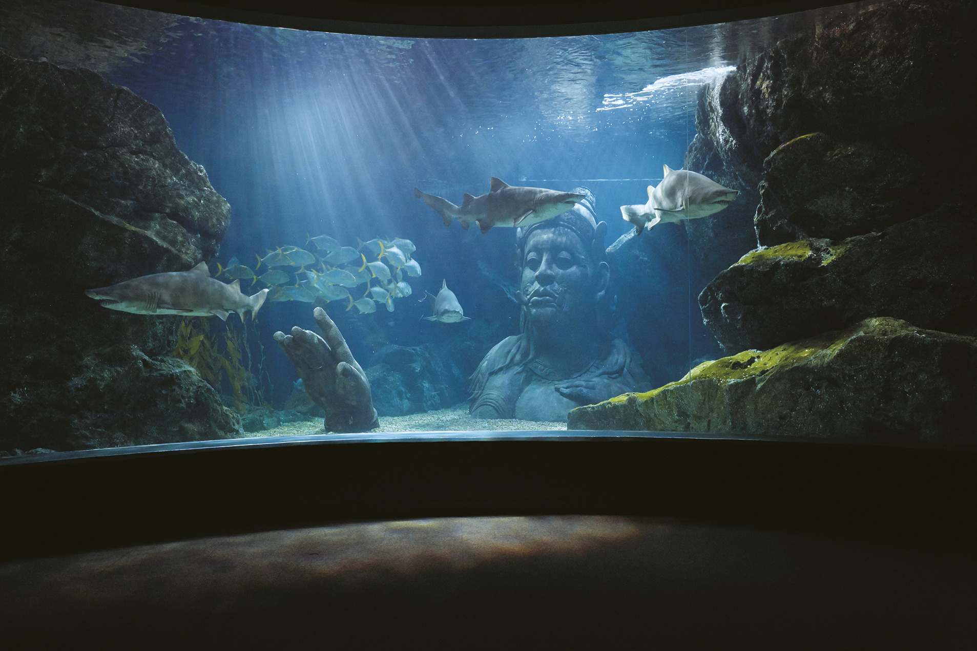 バンコクの水族館「シーライフ・バンコク」完全ガイド！入場料・行き方・見どころを解説｜KKday Blog - "行きたい"を見つける旅ガイド