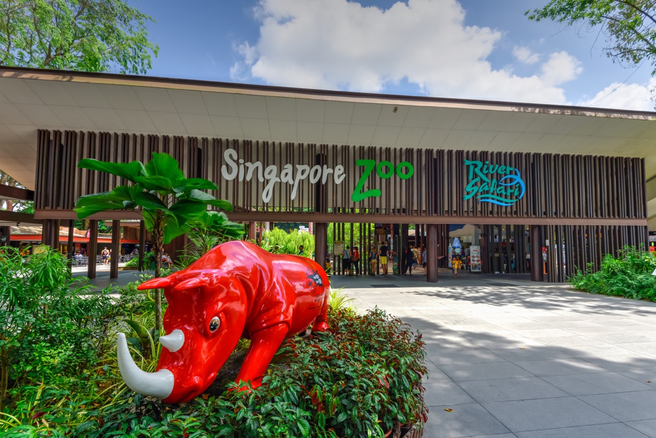 シンガポール動物園へのアクセス方法を徹底ガイド！チケットや滞在時間も紹介