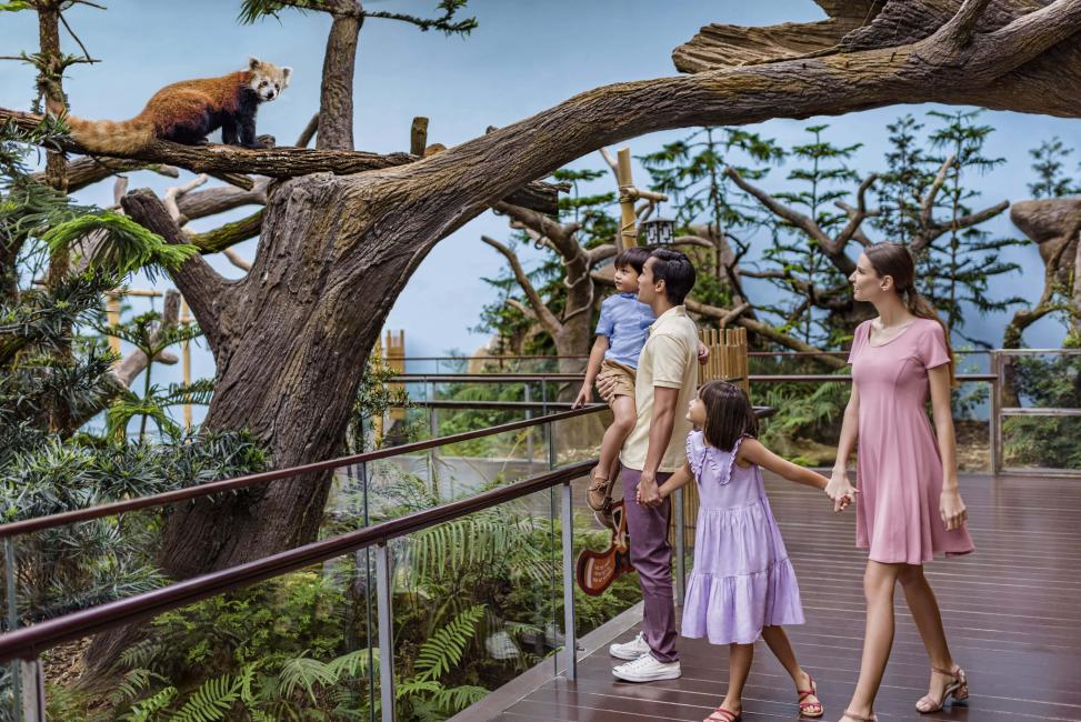 シンガポール動物園の画像