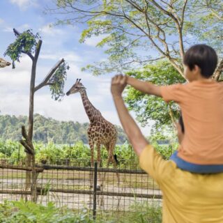 シンガポール 動物園 シンガポール動物園 - Visit Singapore 公式サイト