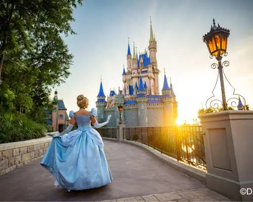 ディズニー シンデレラ城 WDW ディズニーワールド フロリダ 模型 ディズニー シンデレラ城 WDW ディズニーワールド フロリダ 模型 WDW