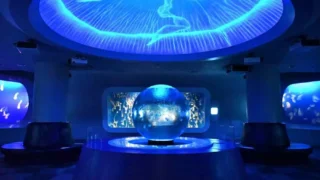 新江ノ島水族館 WEBチケット