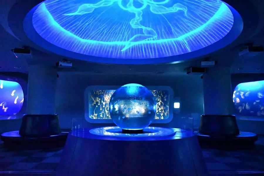 新江ノ島水族館のチケットは当日買える？Web・現地・コンビニでの購入方法を解説