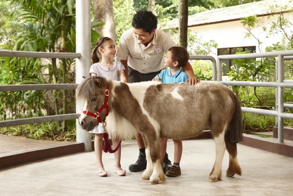 2025】シンガポール5大動物園の見どころは？魅力＆チケット情報を解説！