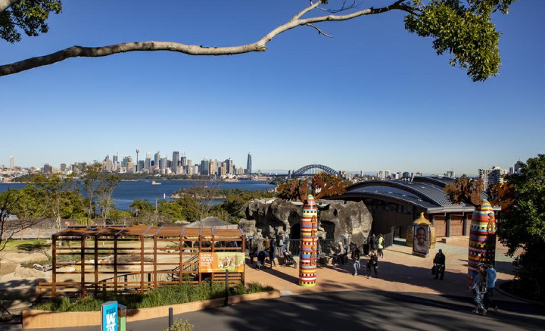 タロンガ動物園を徹底解説！コアラ・チケット料金・行き方まで紹介