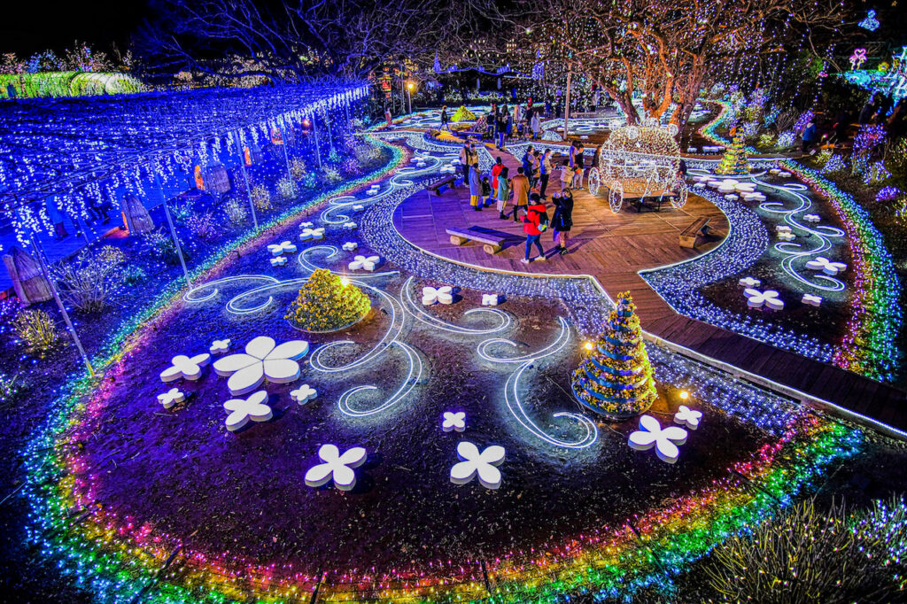 イルミネーション特集