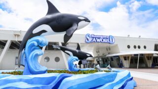 2025】鴨川シーワールドの割引情報と料金を解説！前売り券やシニア割引