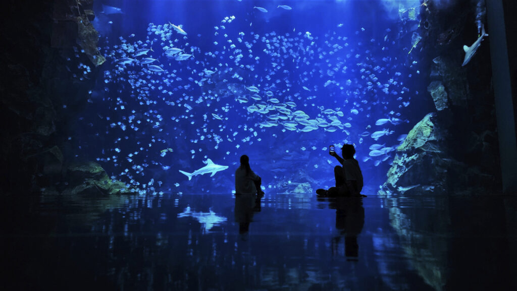 台湾の水族館 「Xpark」を徹底ガイド！館内やアクセス・チケットも紹介