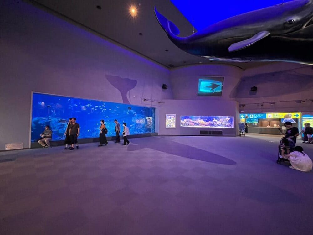 鳥羽水族館 鳥羽水族館 | 飼育種類数が日本一！ 国内最大級の水族館