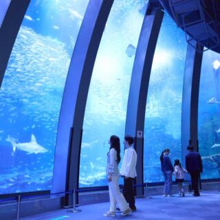 （ラッコ掲載有）マリンピア日本海、八景島シーパラダイス等　カレンダー7冊 横浜・八景島シーパラダイス】GW を満喫できる イベント が