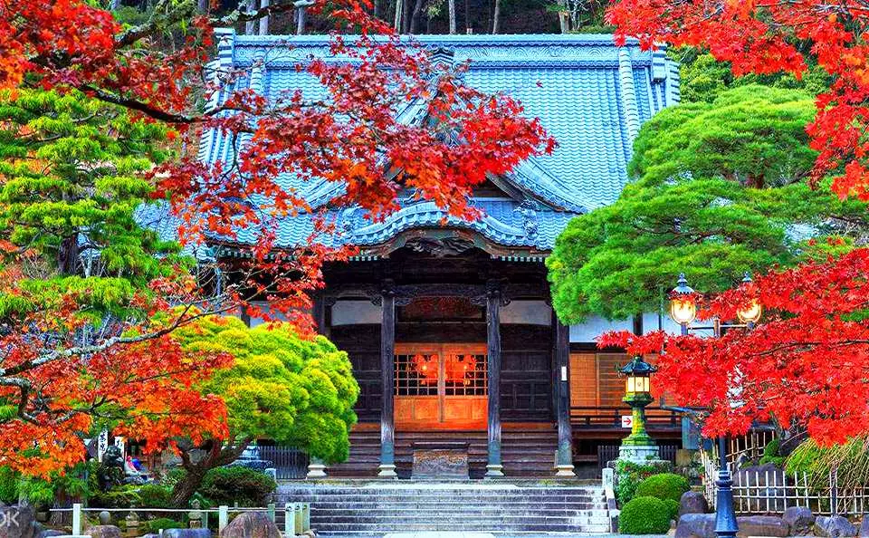 修善寺温泉街の観光ならここ！日帰りモデルコース・徒歩で行けるスポット10選
