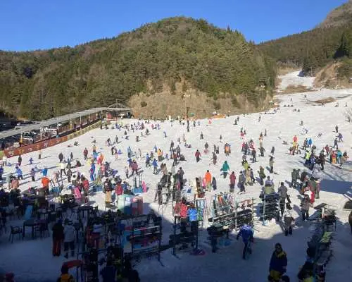 久万スキーランドの魅力を解説｜料金・レンタル・アクセス情報まとめ
