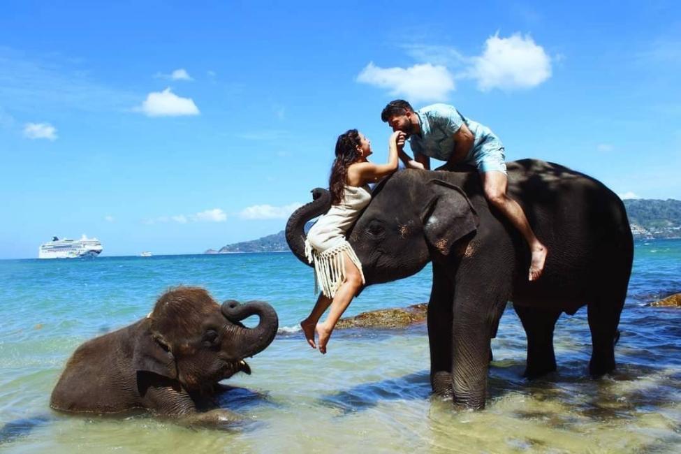 【2025】プーケットで象乗り体験！おすすめの場所・ツアー・当日予約について解説｜KKday Blog - "行きたい"を見つける旅ガイド