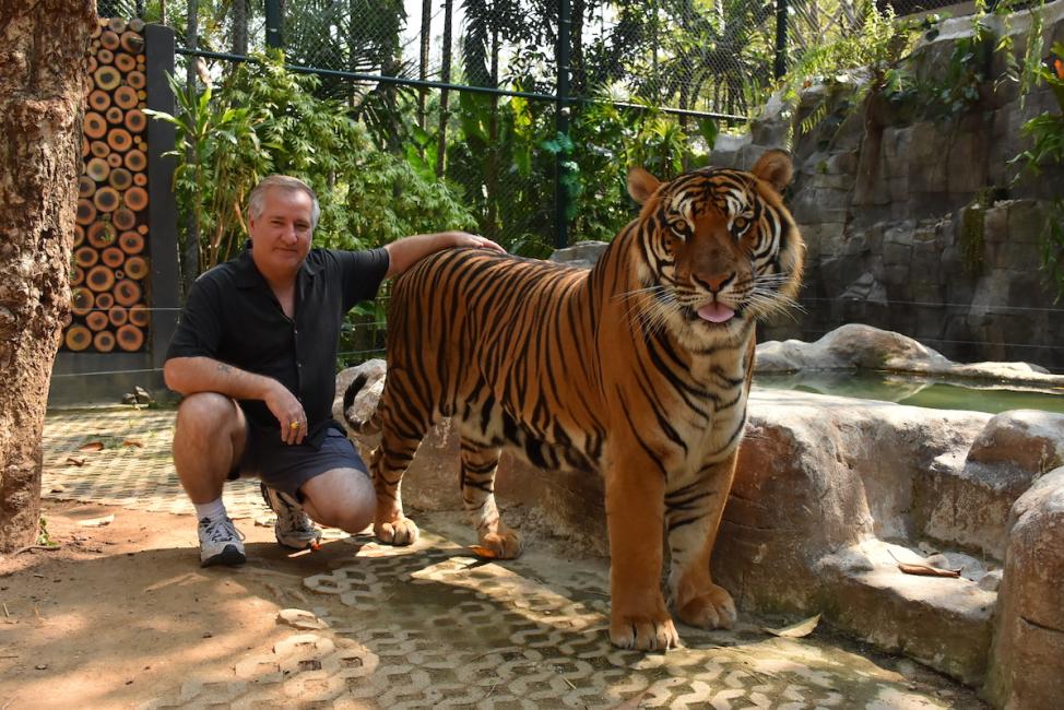 タイガーキングダム