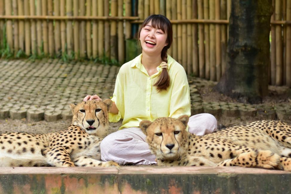 タイガーキングダム