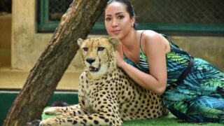 【2025】タイガーキングダム完全ガイド！チェンマイ＆プーケットを徹底比較