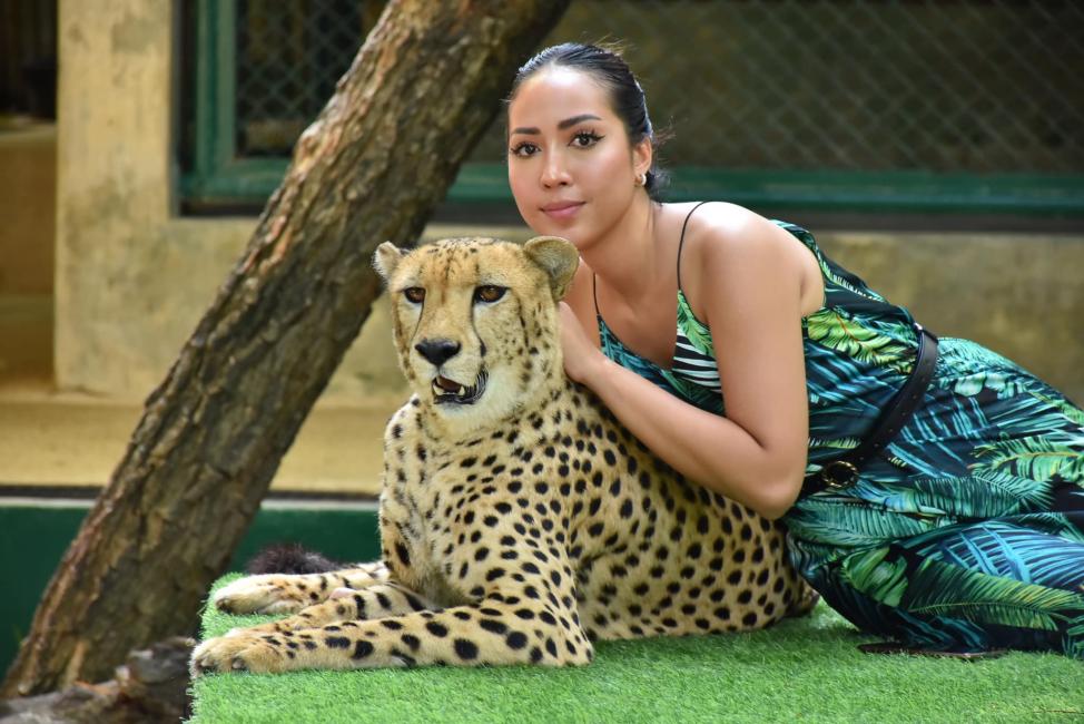 タイガーキングダム