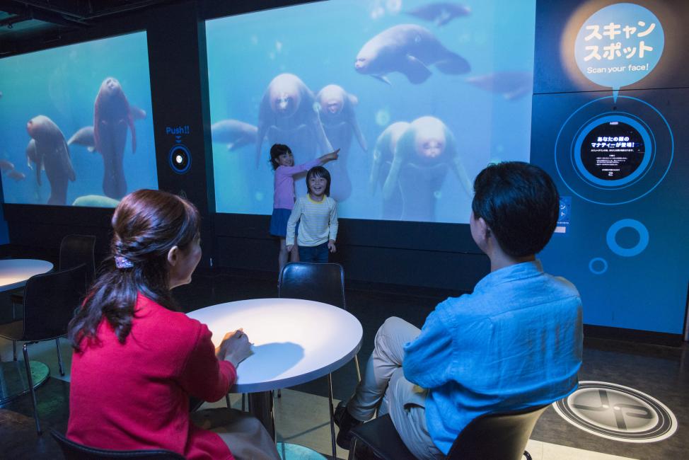 ジョイポリスの駐車場を完全ガイド！公式駐車場は割引特典あり