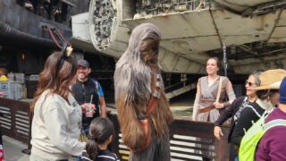 カリフォルニア ディズニーのスター・ウォーズエリアガイド