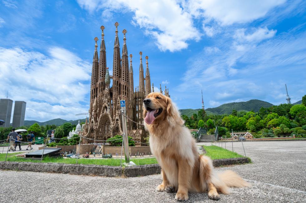 東武ワールドスクウェアは犬連れで入園可能？ルールや愛犬と楽しむポイント