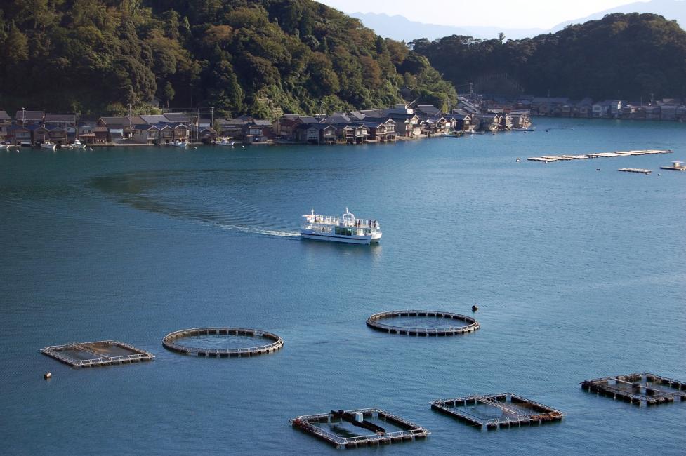 伊根湾めぐり遊覧船の完全ガイド！料金・時刻表・駐車場・舟屋の見どころを解説