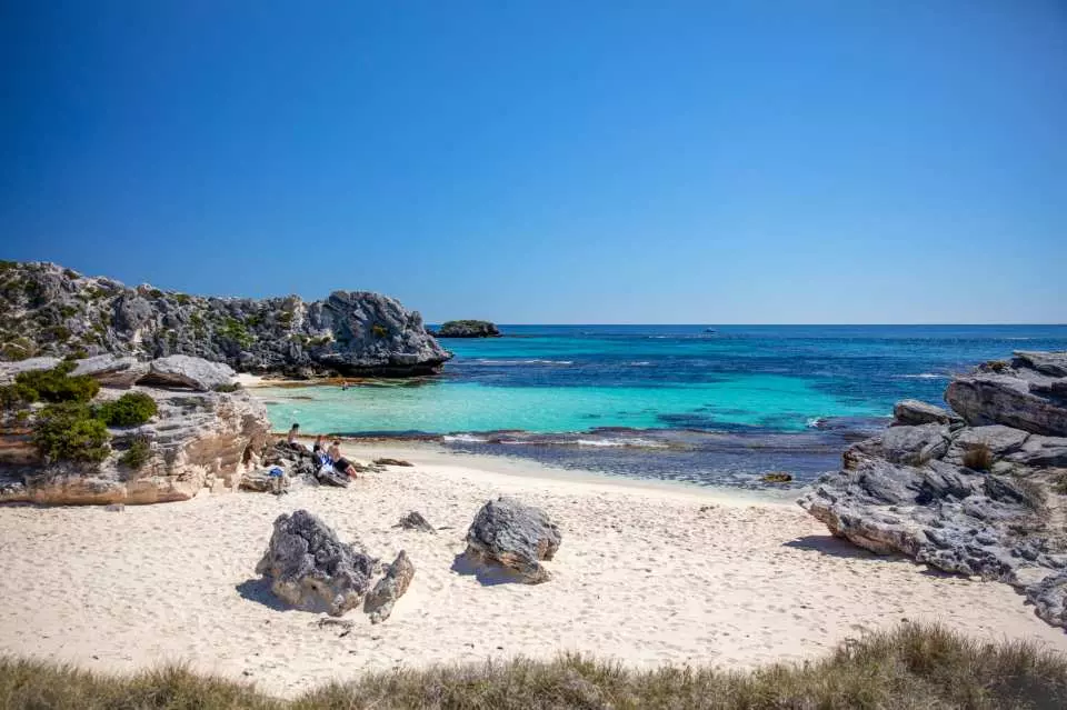 2025】ロットネスト島を徹底解説！クオッカや美しいビーチを満喫