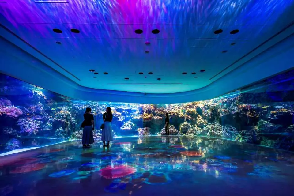 台湾の水族館 「Xpark」を徹底ガイド！館内やアクセス・チケットも紹介