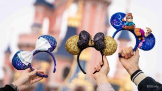 【最大10％OFF】ディズニーランド・パリ入場チケット