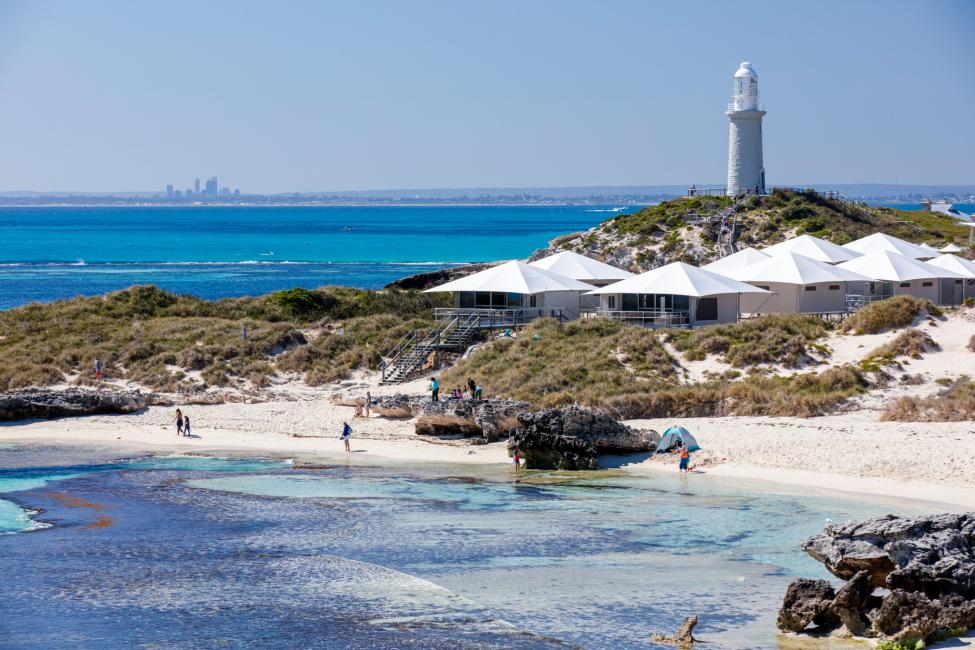 2025】ロットネスト島を徹底解説！クオッカや美しいビーチを満喫