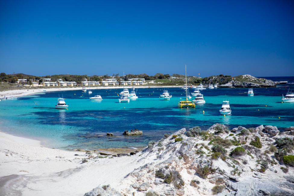 2025】ロットネスト島を徹底解説！クオッカや美しいビーチを満喫