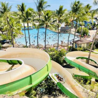 HAWAII ハワイ大学 ウォーリアーズ ヘビーウェイト ジャケット XL 良品 HAWAII ハワイ大学 ウォーリアーズ ヘビーウェイト ジャケット