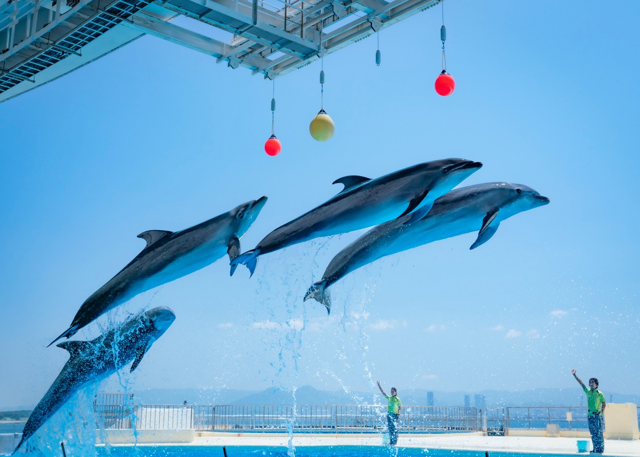 福岡 水族館