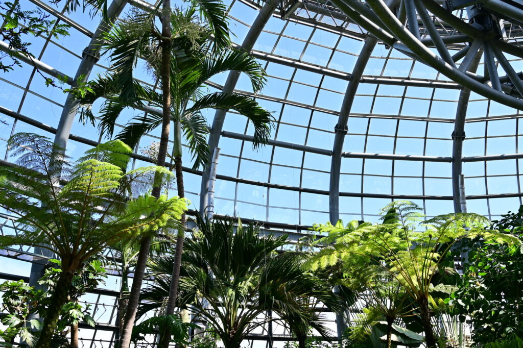 のんほいパーク（豊橋総合動植物公園）」の所要時間は？見どころも一緒