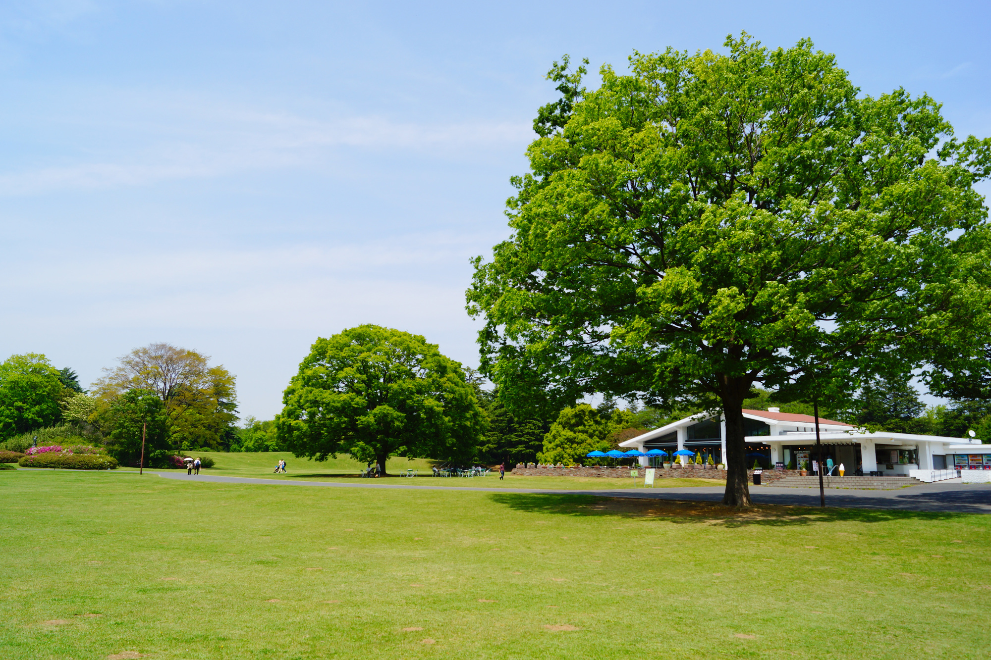 東京近郊】大きい公園16選！ピクニック・遊具も楽しめるおすすめ 