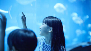 神奈川の水族館おすすめ7選!安いチケットや穴場スポットも紹介