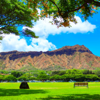 2025】ダイヤモンドヘッド登山を完全ガイド！予約や服装についても紹介