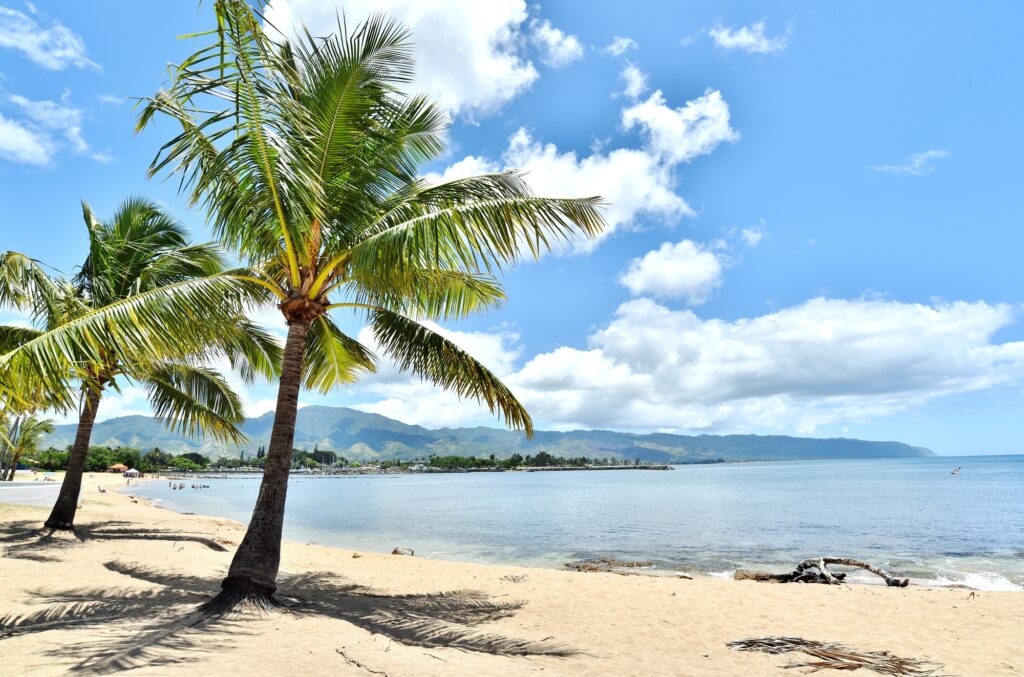 2025】円安でもハワイを楽しみたい！現地の物価や節約術をレポート