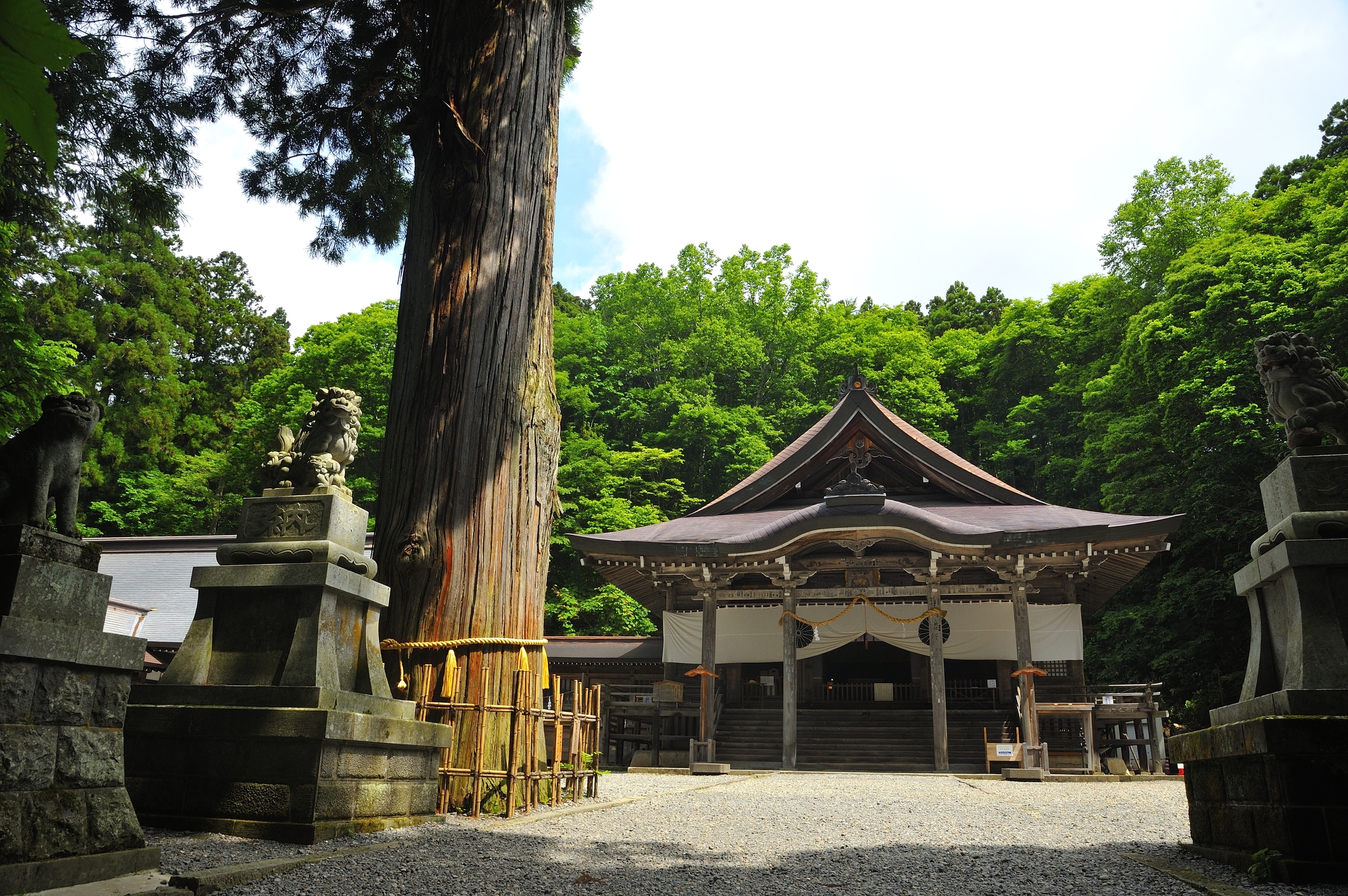 戸隠神社とはどんなスポット？アクセスや回り方なども一挙紹介！