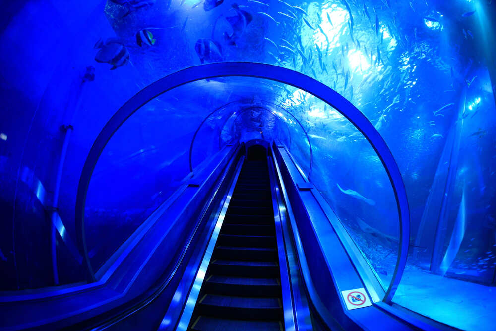 八景島シーパラダイス チケット 割引