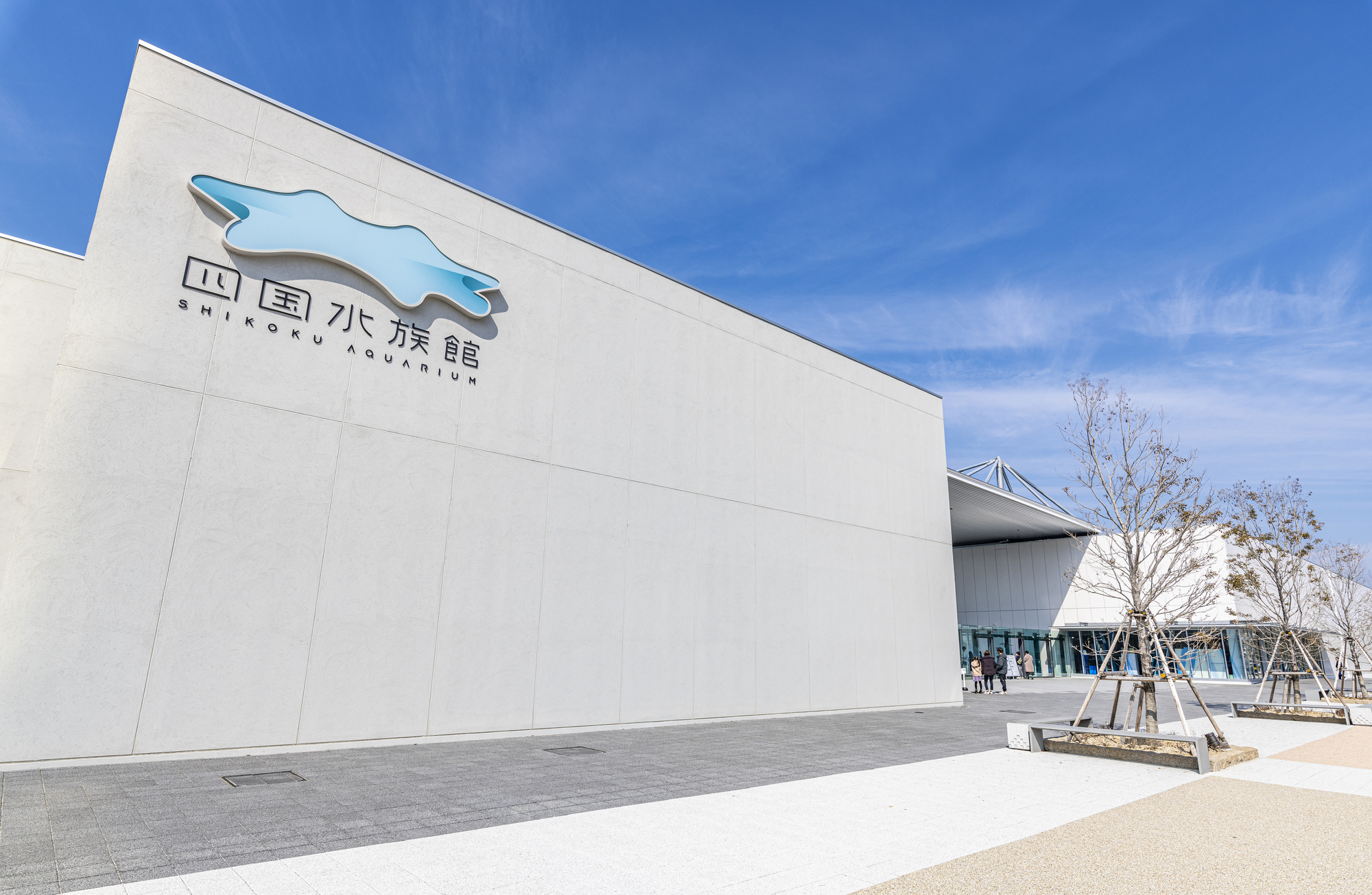 【2025】四国水族館の見どころをガイド！見逃せない水槽やプログラムを解説
