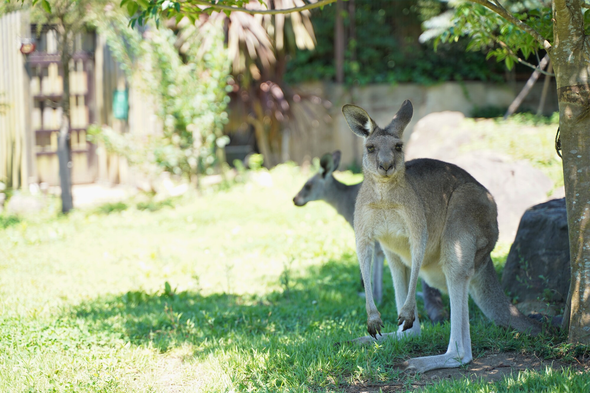 金沢動物園 楽しみ方