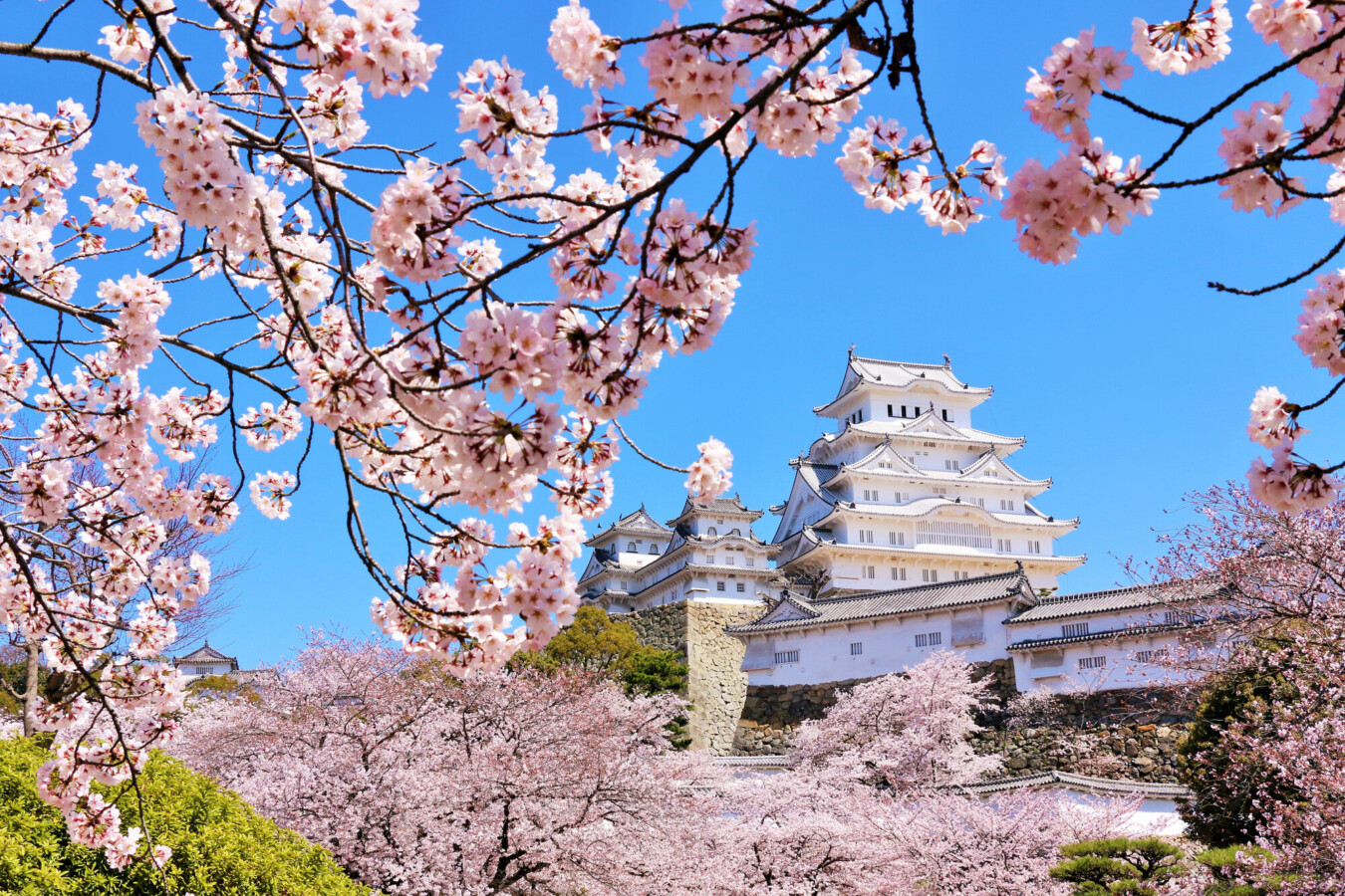 【2022】関西で有名な桜の名所16選！開花時期や見頃もご紹介